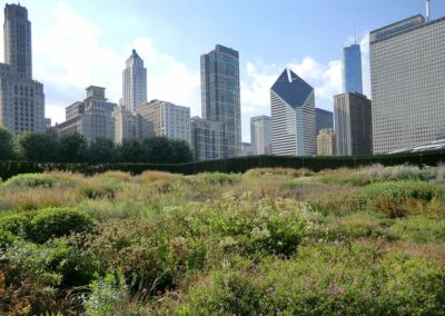 Green Roof Chicago