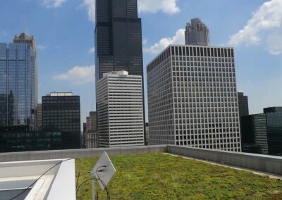 Green Roof - Chicago