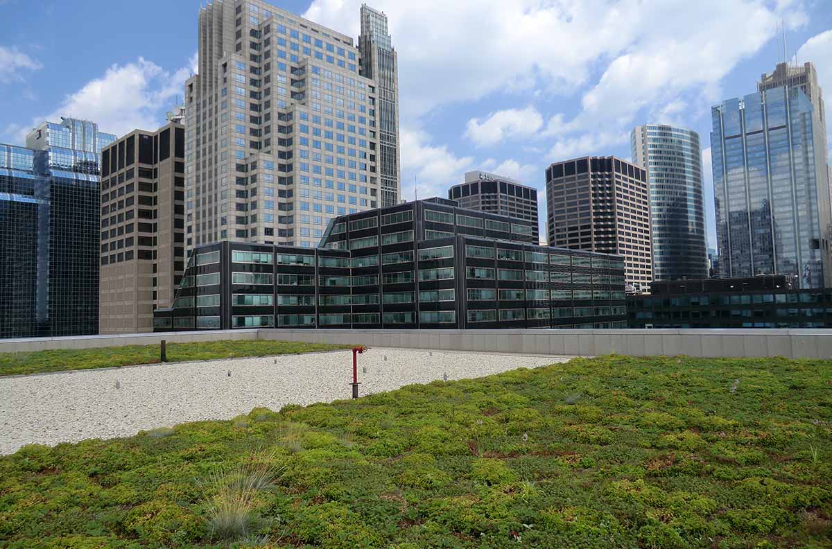 Green Roof - Chicago