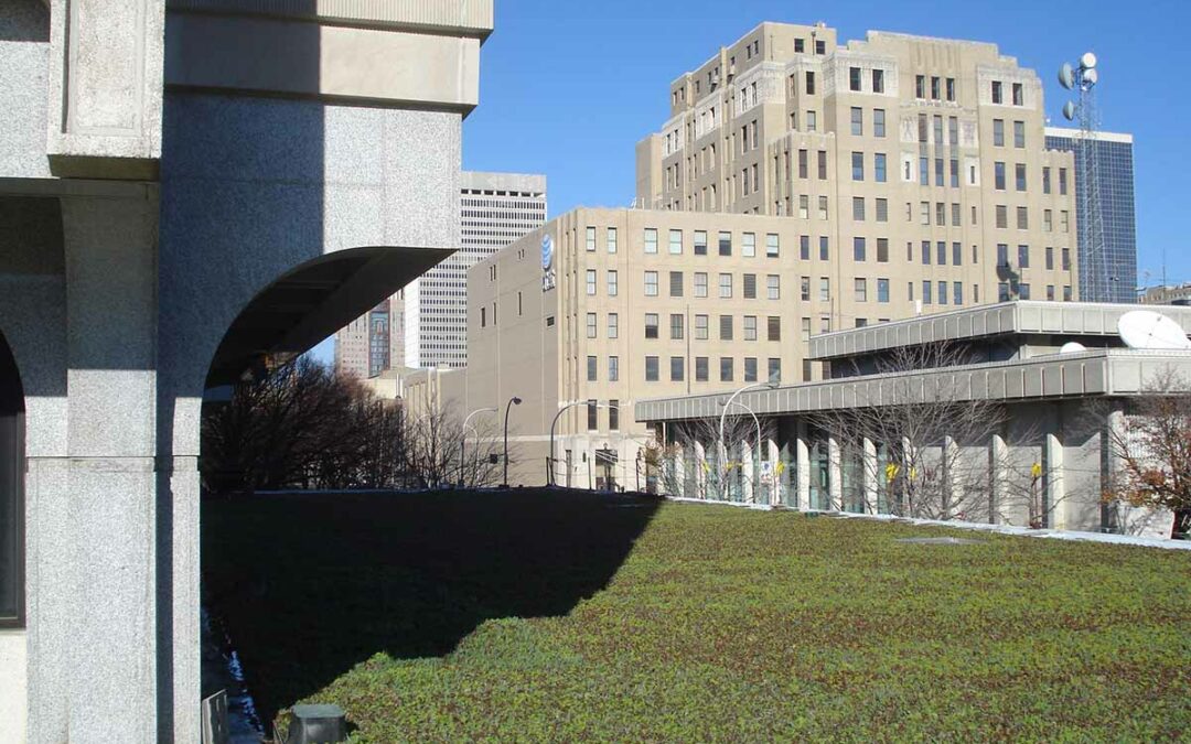 Green Roof – Fed Building