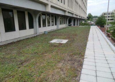 Green Roof - Fed Building