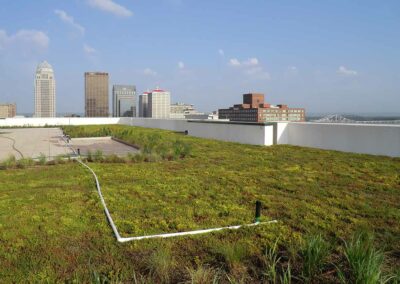 Green Roof - Nucleas