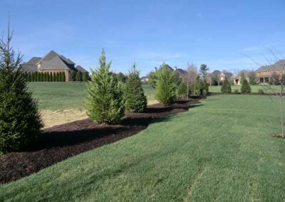 Landscaping and sod